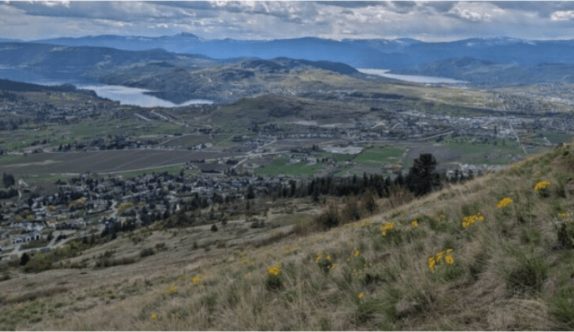 View of Kalamaka and Okanagan Lake Professional Home Inspection Report PDF Example | At Ease Property Inspections High-angle panoramic view of the Okanagan Valley, showcasing residential areas, farmland, and both Kalamalka Lake (left) and Okanagan Lake (right) under a cloudy sky. This landscape encompasses the Vernon and Coldstream regions where Erich Kamprath/At Ease Property Inspections offers expert home inspection services with deep local knowledge.